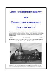 Amtsblatt Nr. 12 - Stadt SÃ¼dliches Anhalt