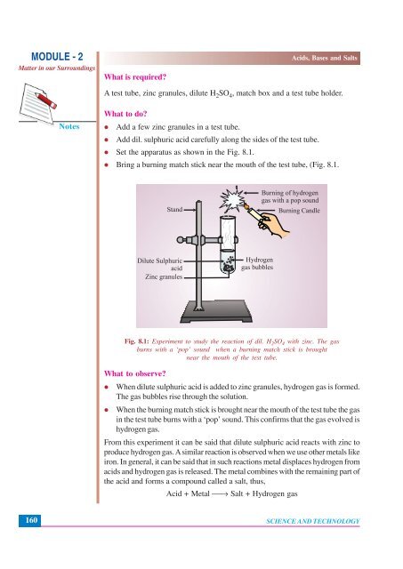 8. Acids, Bases and Salts (41.1 MB)