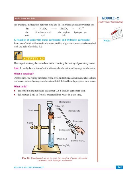 8. Acids, Bases and Salts (41.1 MB)