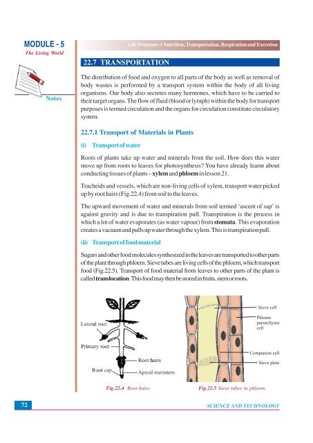 Nutrition, Transportation, Respiration and Excretion