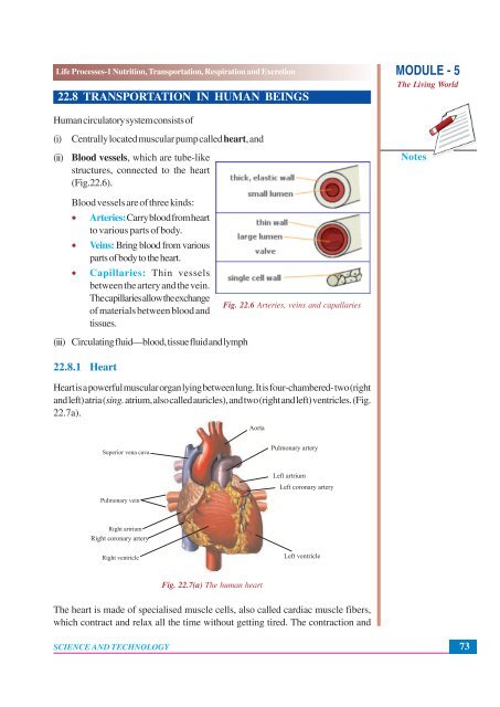 Nutrition, Transportation, Respiration and Excretion