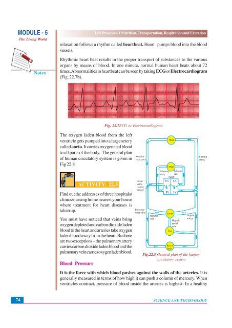 Nutrition, Transportation, Respiration and Excretion