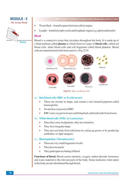 Nutrition, Transportation, Respiration and Excretion