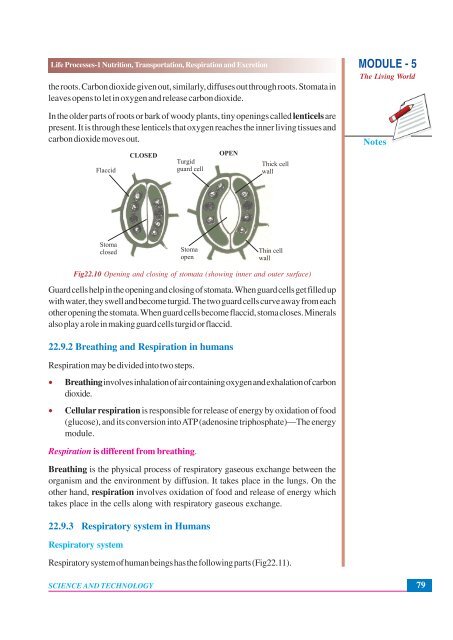 Nutrition, Transportation, Respiration and Excretion