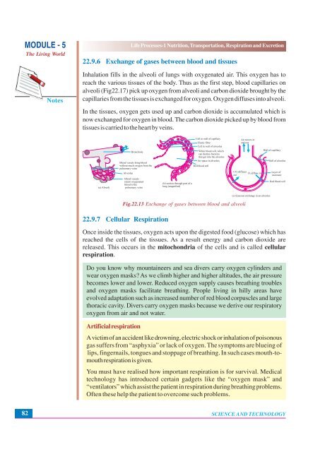 Nutrition, Transportation, Respiration and Excretion