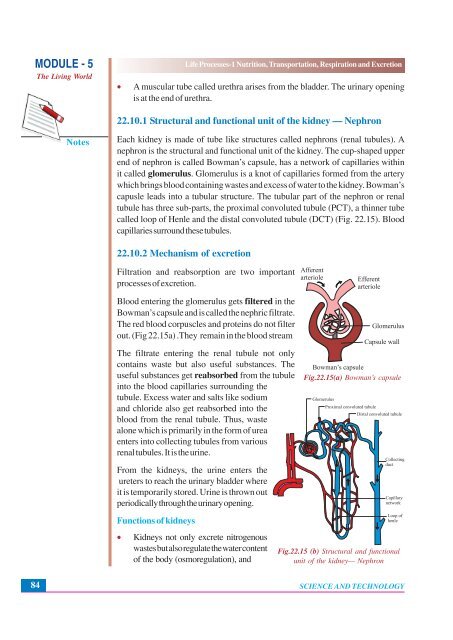 Nutrition, Transportation, Respiration and Excretion