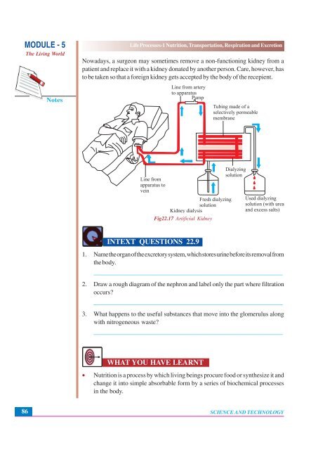 Nutrition, Transportation, Respiration and Excretion