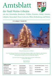( 3 MB / PDF )Amtsblatt der Stadt Wettin-Löbejün 11.12.2013