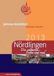 Jahresrückblick 2013 Teil1 - Stadt Nördlingen