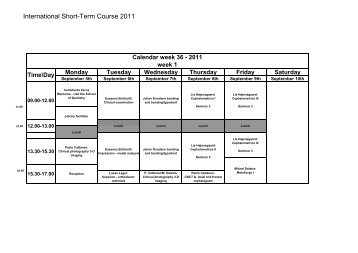 Short-term Programme 2011b.xlsm