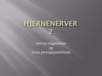 nervus trigeminus og fossa pterygopalatinum