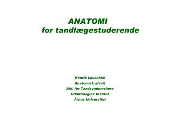 ANATOMI for tandlÃ¦gestuderende