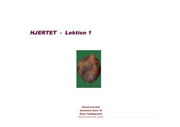 HJERTET - Lektion 1