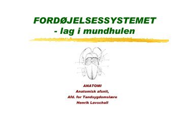 Fordoejelsessystemet.Mundhulens lag.