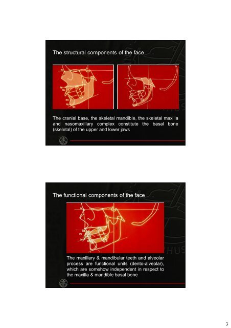 CEPHALOMETRICS