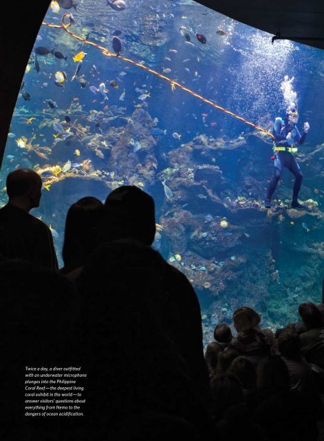 Download 2012 Annual Report - California Academy of Sciences