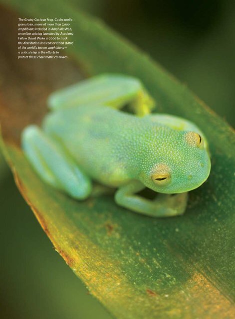 Download 2012 Annual Report - California Academy of Sciences