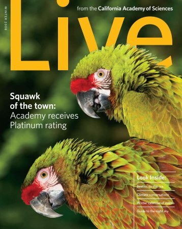 Squawk of the town: Academy receives Platinum rating - California ...