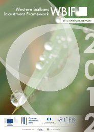 WBIF Annual Report 2012