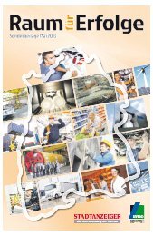 Docuware Generated Pdf Stadtanzeiger Ortenau
