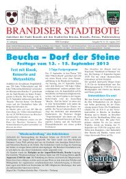 Anzeigen im BRANDISER STADTBOTE