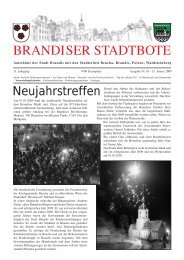 BRANDISER STADTBOTE