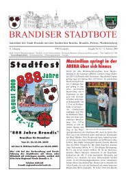 BRANDISER STADTBOTE