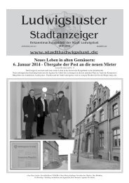 Januar - Stadt Ludwigslust