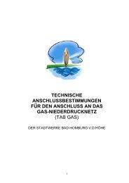 Technische Anschlussbestimmungen Gas TAB - Stadtwerke Bad ...