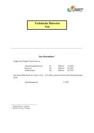 Technische Hinweise Gas - Stadtwerke Emsdetten