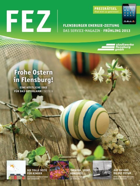 FEZ 2013/03 (PDF) - Stadtwerke Flensburg