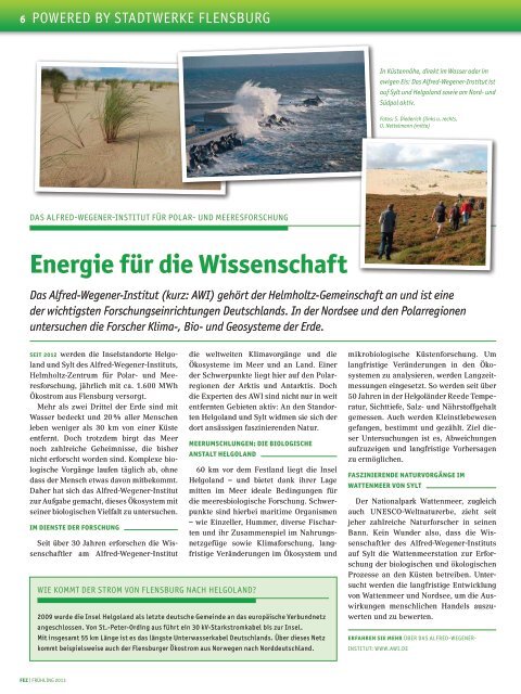 FEZ 2013/03 (PDF) - Stadtwerke Flensburg