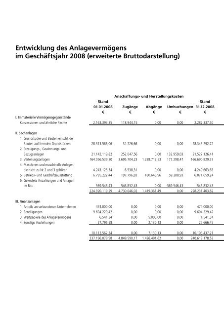 GeschÃ¤ftsbericht 2008 Stadtwerke GÃ¶ttingen AG