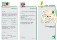 Energieausweis Flyer 9/2011 - Stadtwerke Hamm GmbH