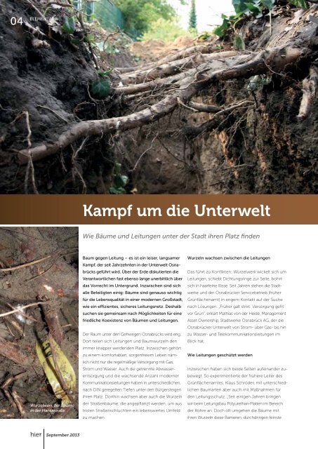 Ausgabe 3 2013 - Stadtwerke Osnabrück