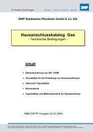 Hausanschlusskatalog Gas - Stadtwerke Pforzheim