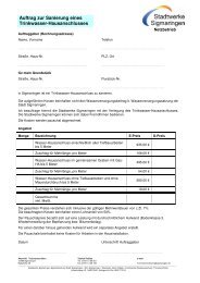 Auftrag Sanierung Trinkwasser-Hausanschluss - Stadtwerke ...