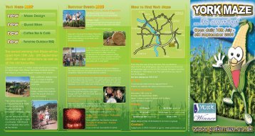 York Maze - Days Out Leaflets