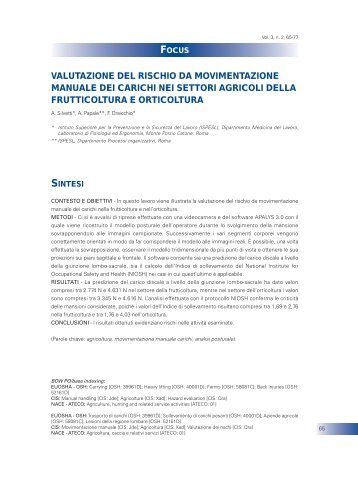 valutazione del rischio da movimentazione manuale dei carichi nei ...