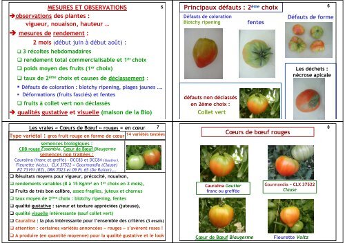 les variétés de tomates de type ancien - GRAB, Groupe de ...