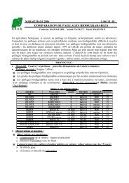 Comparaison de paillages biodégradables - GRAB, Groupe de ...