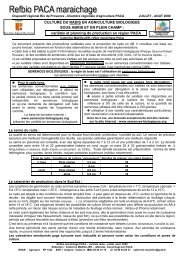 Culture du radis en AB - GRAB, Groupe de Recherche en ...