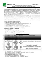 ESSAI DE VARIETES ET de DENSITES SOUS TUNNEL FROID