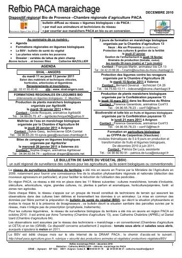 REF BIO PACA maraîchage déc 2010 - GRAB, Groupe de ...