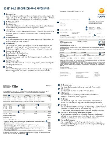 Download Musterrechnung - Stadtwerke - Strom Plauen GmbH & Co ...