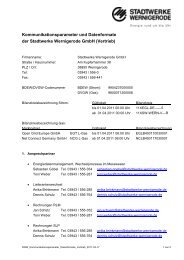 Kommunikationsparameter und Datenformate der Stadtwerke ...