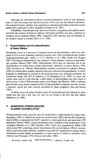 Amino Acid Transport