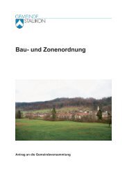 Bau- und Zonenordnung - Gemeinde Stallikon