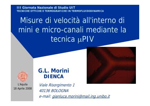 Misure di velocitÃ  all'interno di mini e micro-canali mediante la ...