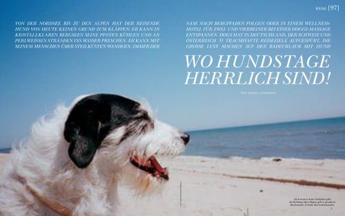 WO HUNDSTAGE VON DER NORDSEE BIS ZU DEN ... - Dogs